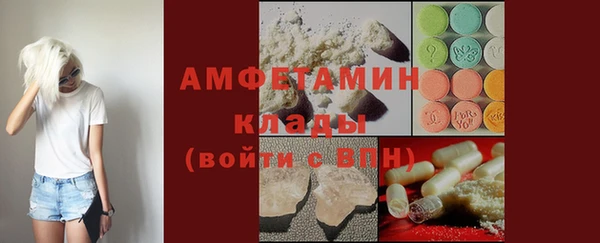 стаф Алзамай