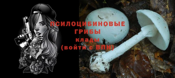 гидропоника Куйбышев