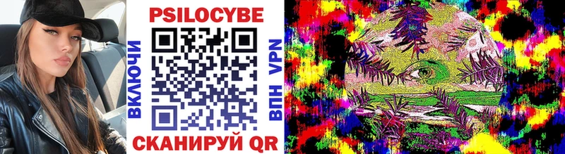 Галлюциногенные грибы Psilocybe  как найти   Азов 